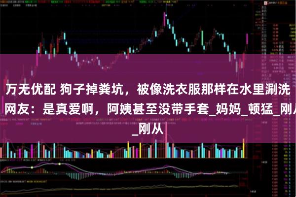 万无优配 狗子掉粪坑,被像洗衣服那样在水里涮洗。网友:是真爱啊,阿姨甚至没带手套_妈妈_顿猛_刚从
