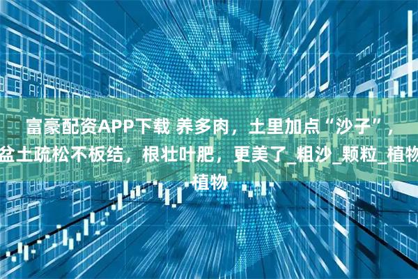 富豪配资APP下载 养多肉,土里加点“沙子”,盆土疏松不板结,根壮叶肥,更美了_粗沙_颗粒_植物