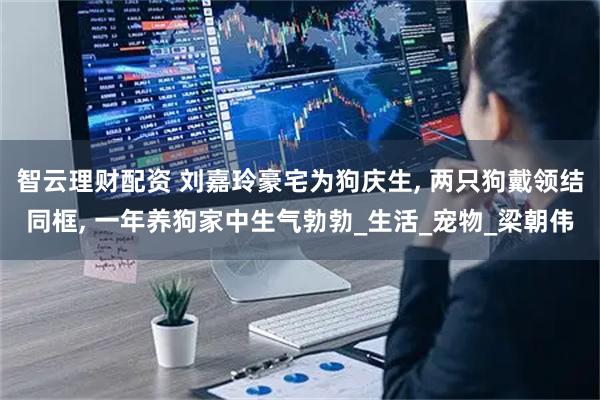 智云理财配资 刘嘉玲豪宅为狗庆生, 两只狗戴领结同框, 一年养狗家中生气勃勃_生活_宠物_梁朝伟