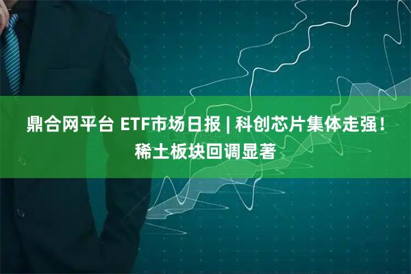 鼎合网平台 ETF市场日报 | 科创芯片集体走强!稀土板块回调显著