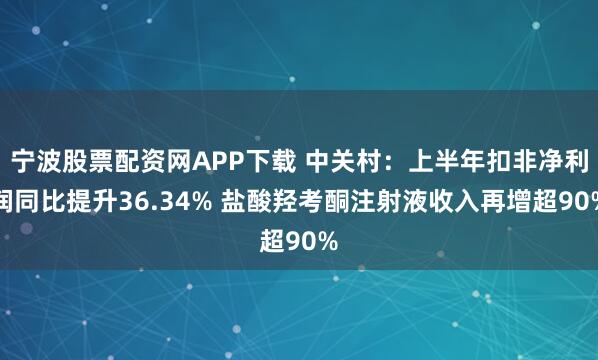 宁波股票配资网APP下载 中关村:上半年扣非净利润同比提升36.34% 盐酸羟考酮注射液收入再增超90%